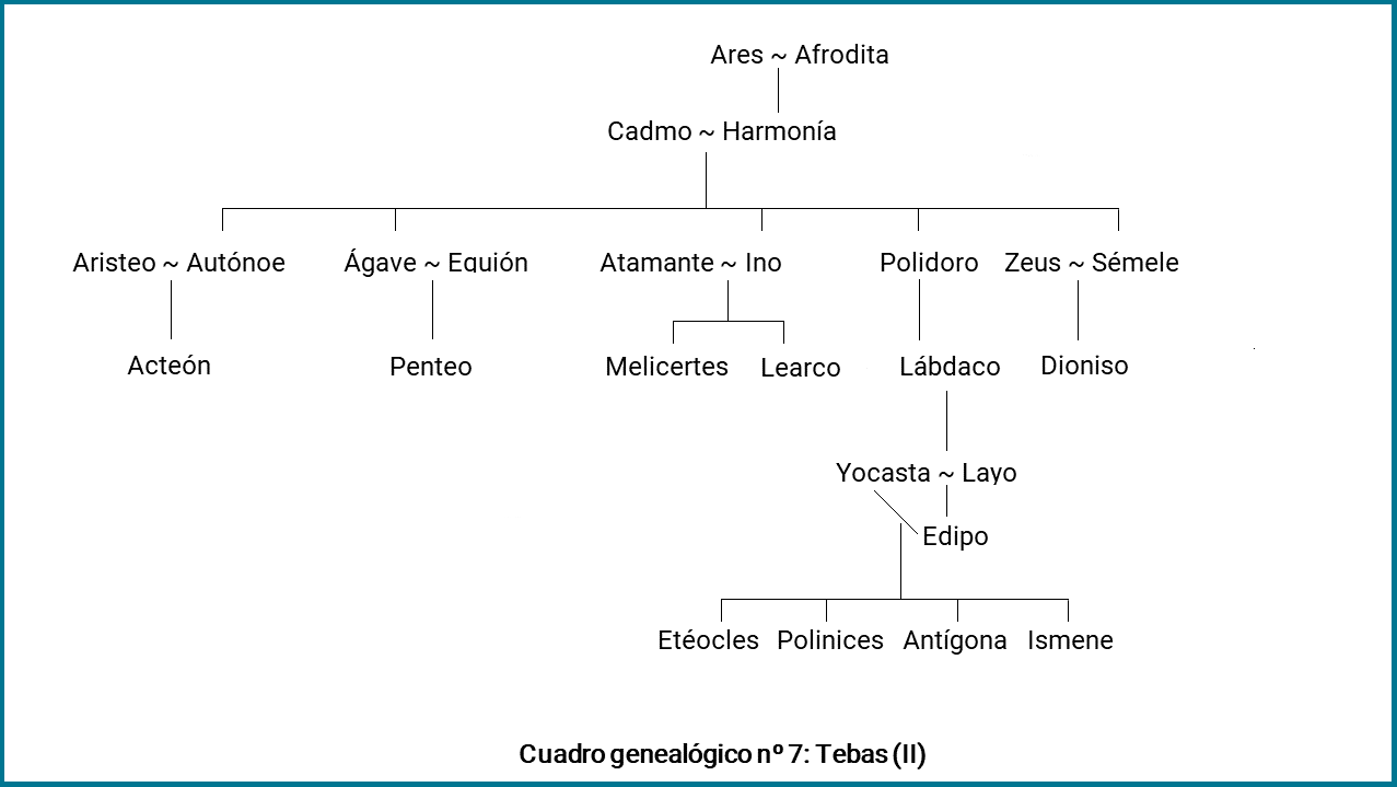 Cuadro Genealógico VII
