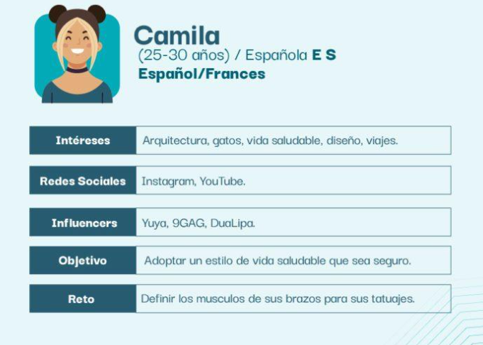Figura 2. Ejemplo de ficha de una “Audience Persona” el tipo más popular de Buyer Persona [2]