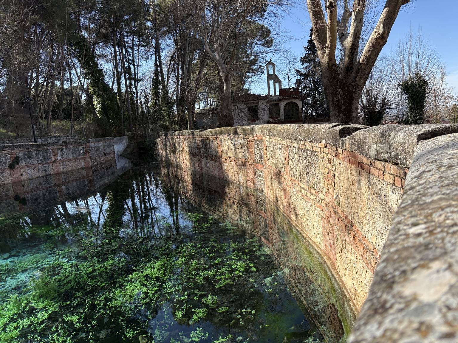 Adjunto IMG_6302.jpeg