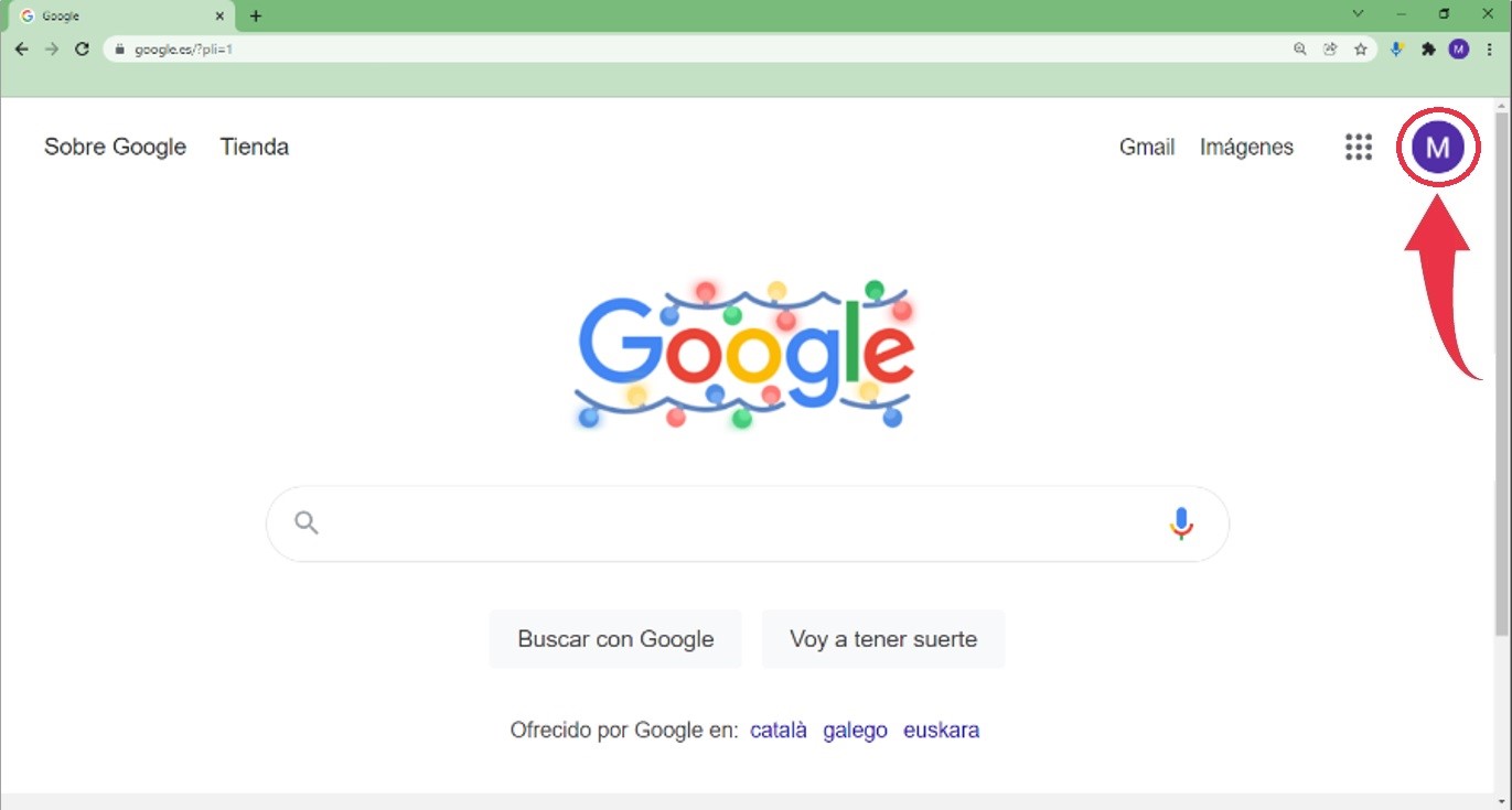Imagen 2. Usuario de página de inicio Google (elaboración propia)