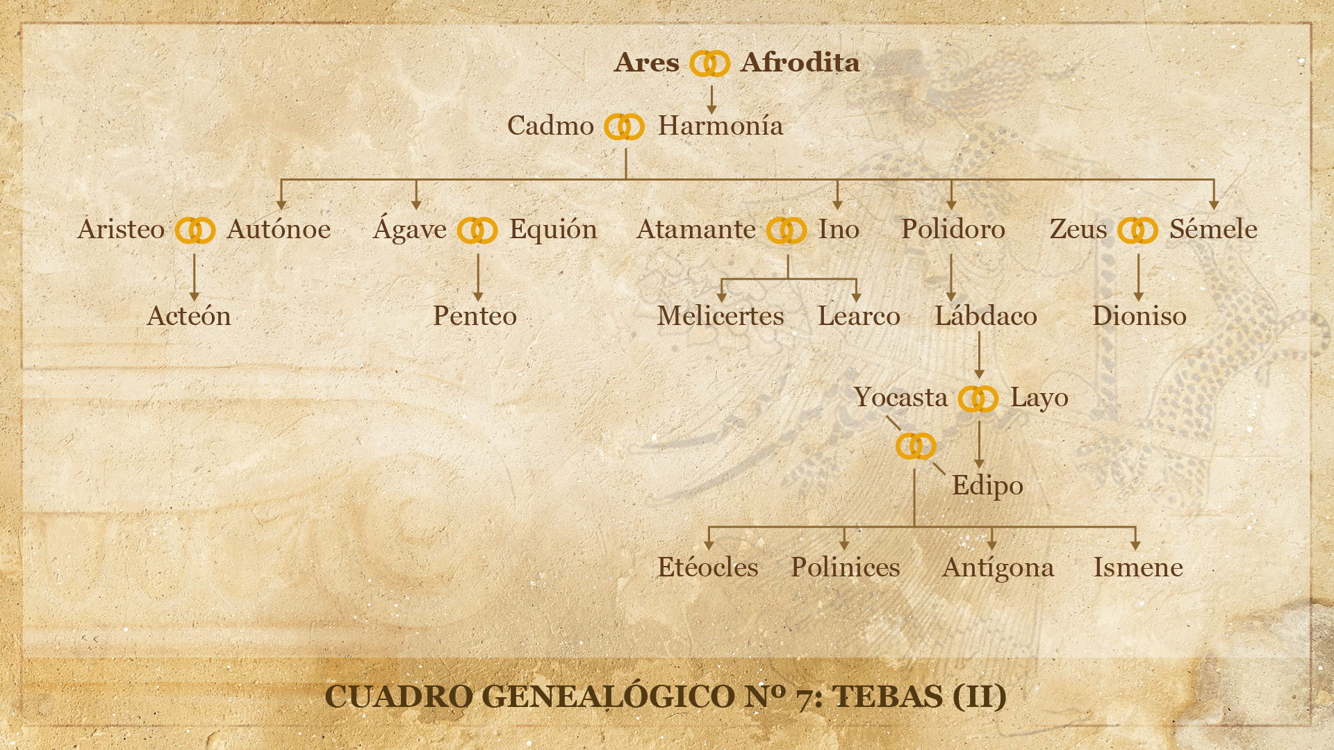 Cuadro Genealógico VII