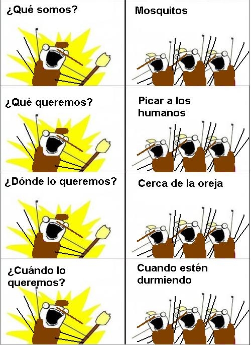 meme3
