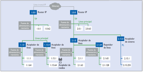 Figura 9
